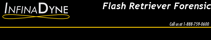 Flash Retriever Forensic